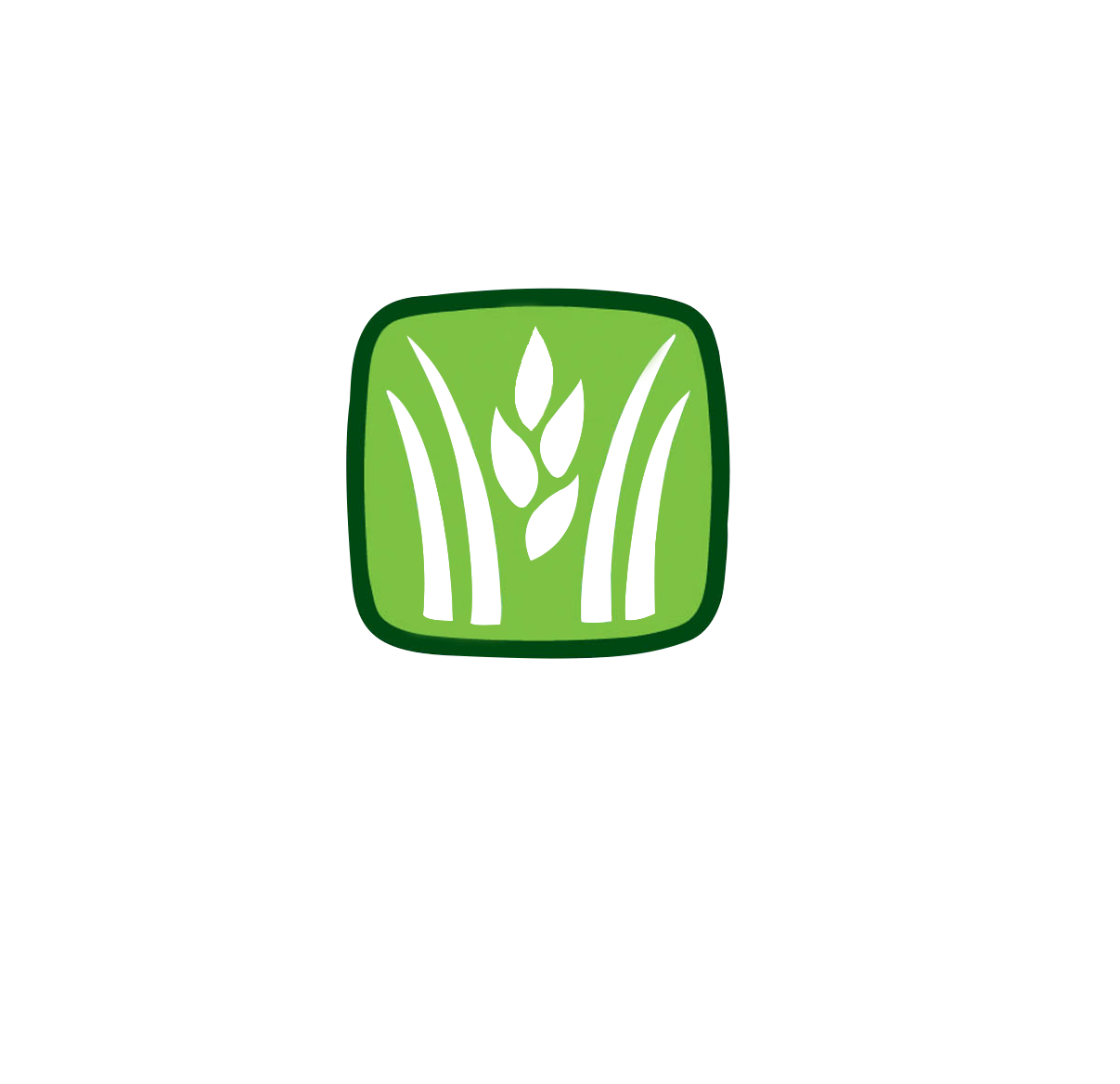 logo11-Stover