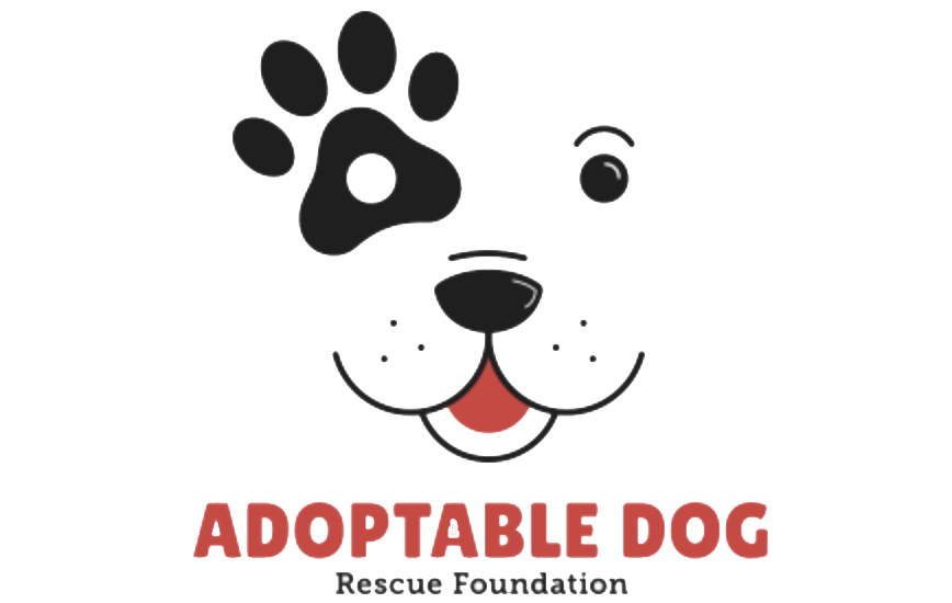 Home adoptabledognew