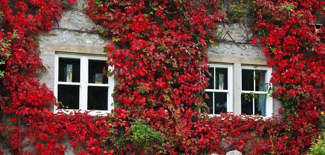 fall house decor